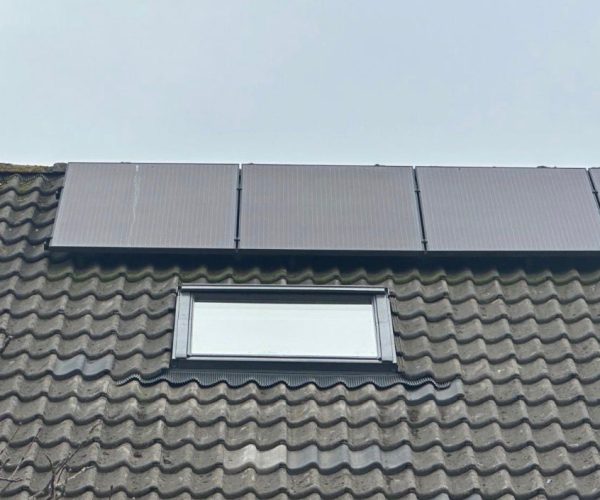 BGDakwerken Dakraam Groot